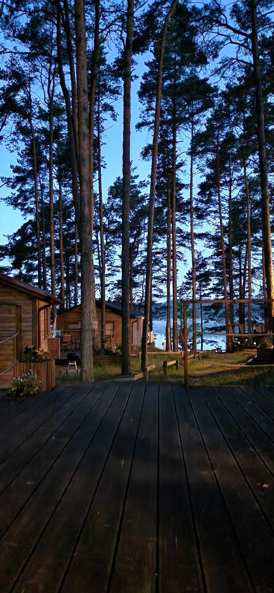 Oslo N°29 Domek Letniskowy Borsk Dış mekan fotoğraf